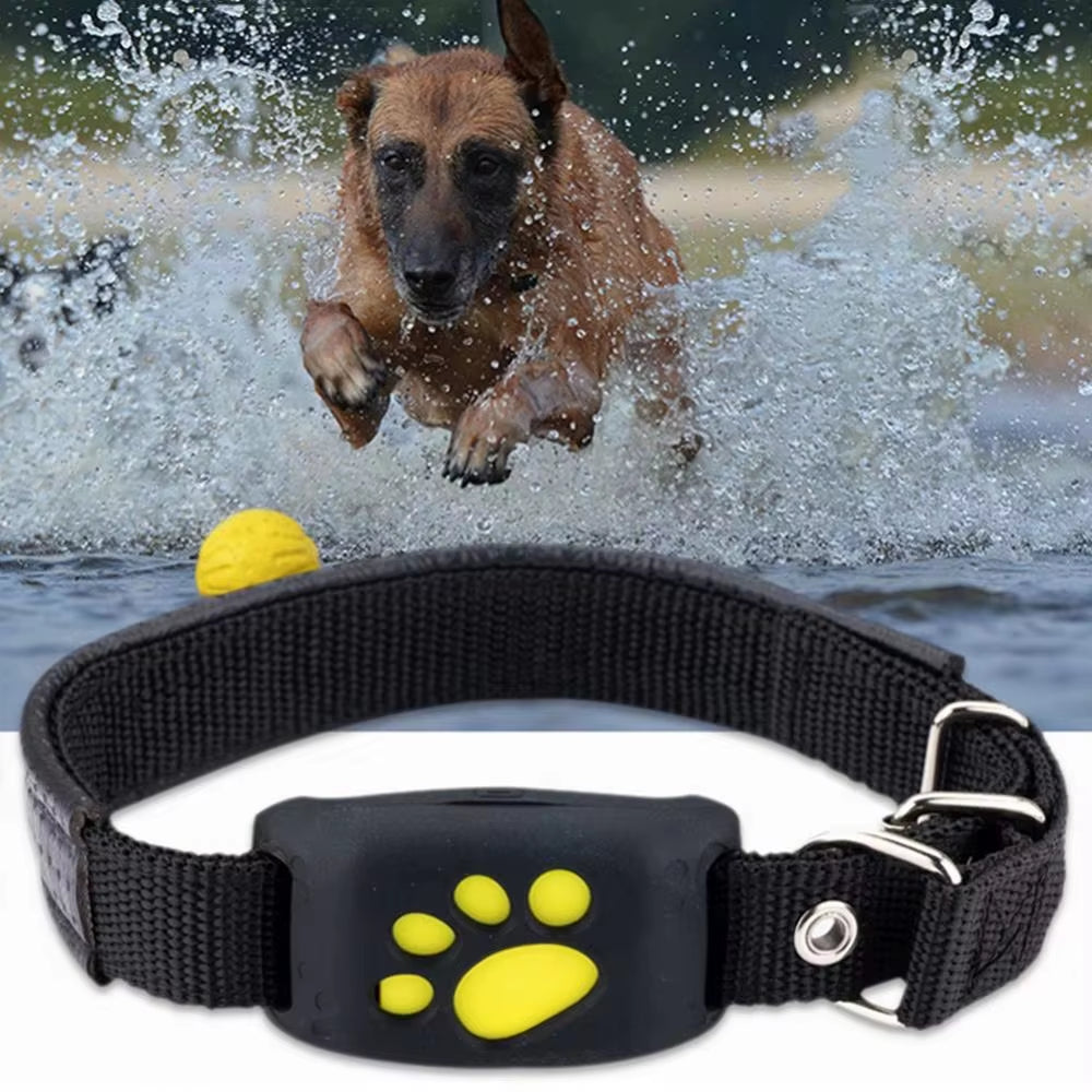 Pet GPS Tracking Device