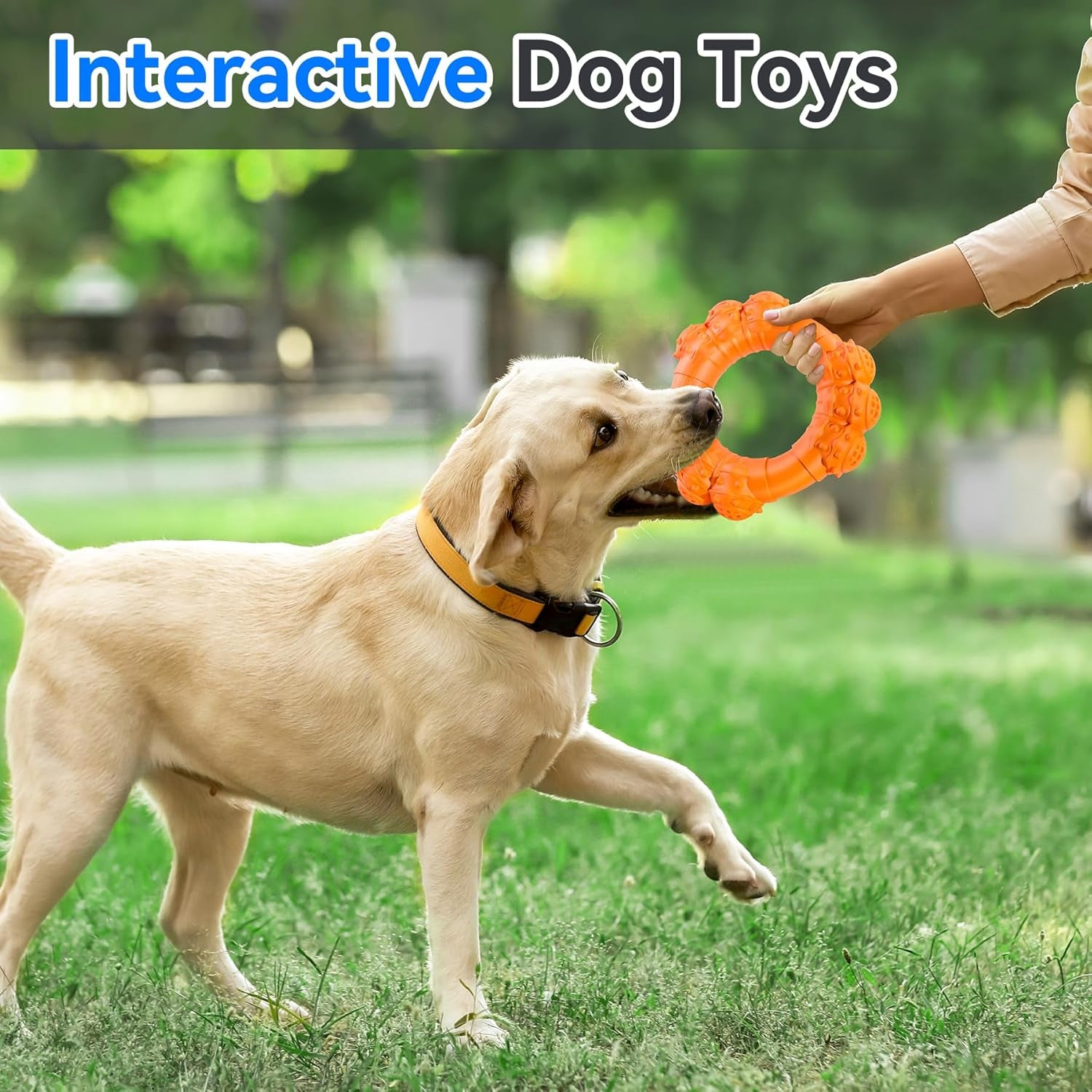 Indestructible Dog Chew Ring