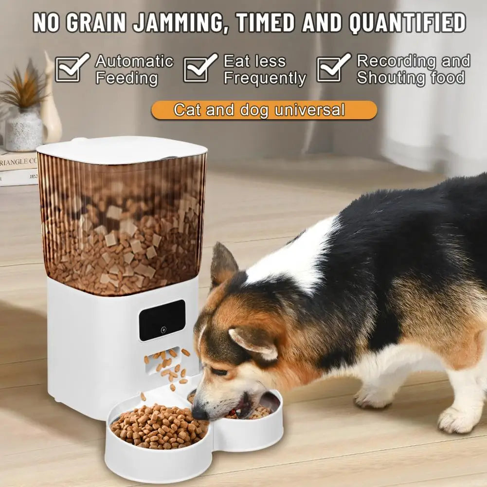 Smart Dual Pet Feeder Bowl