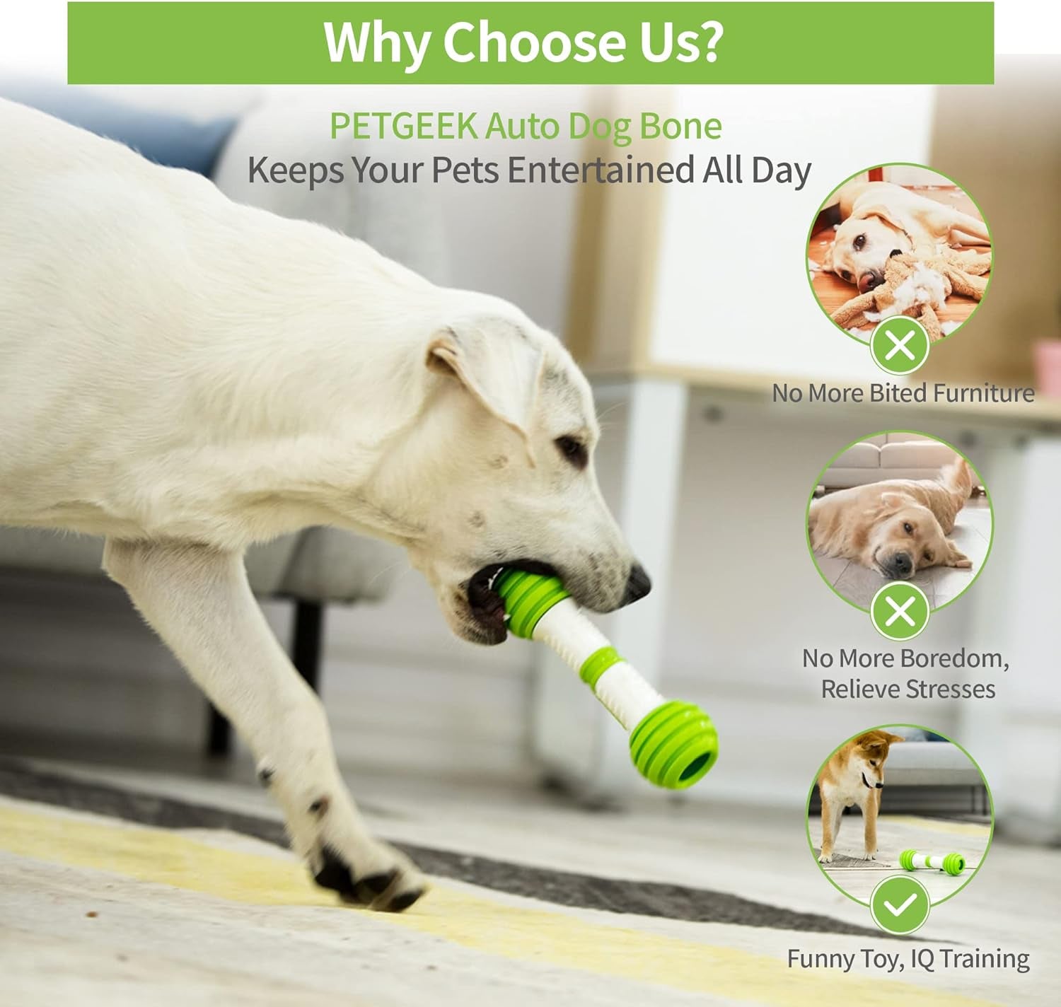 Smart Electronic Bone Toy
