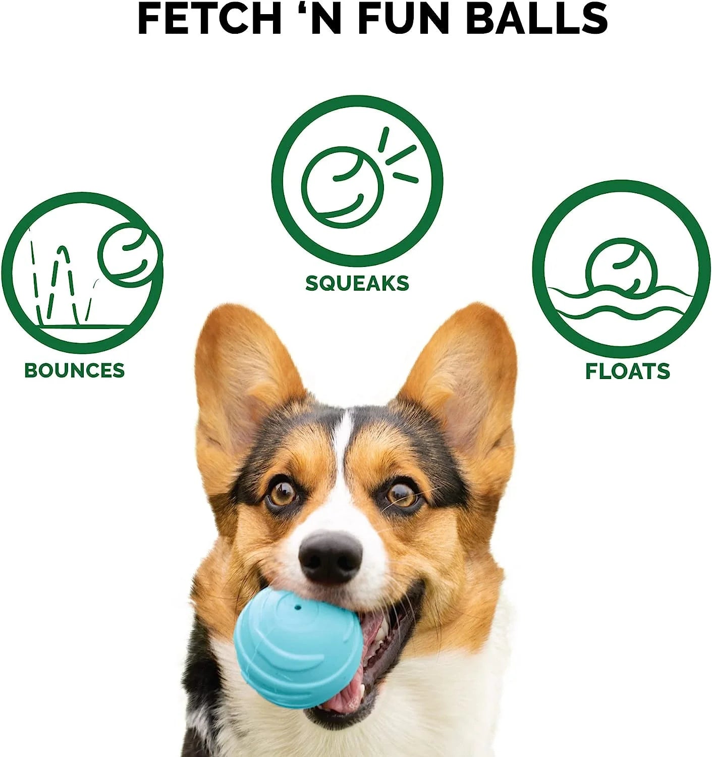 Fetch N' Fun Dog Ball Set