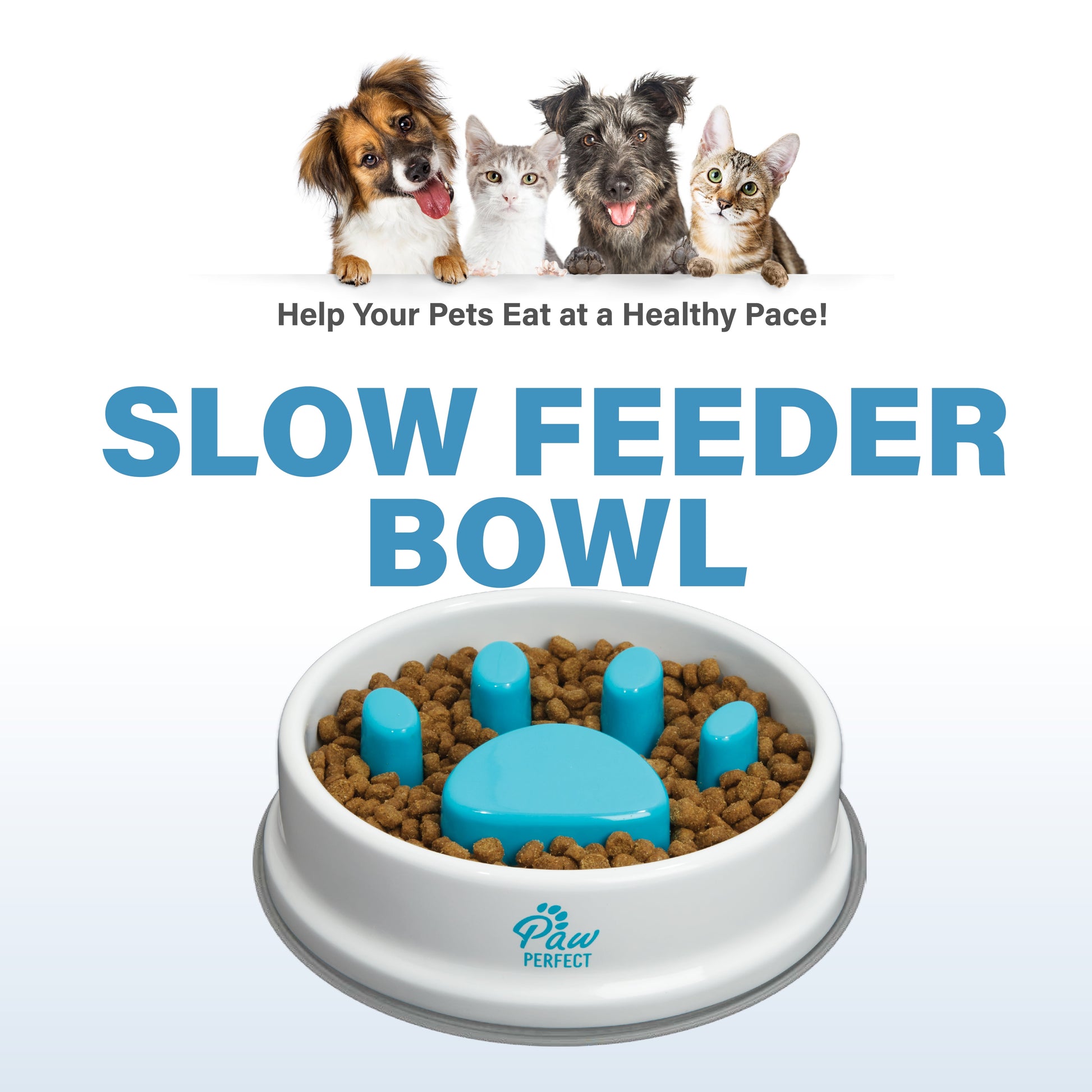 Dog Slow Feeder Bowl