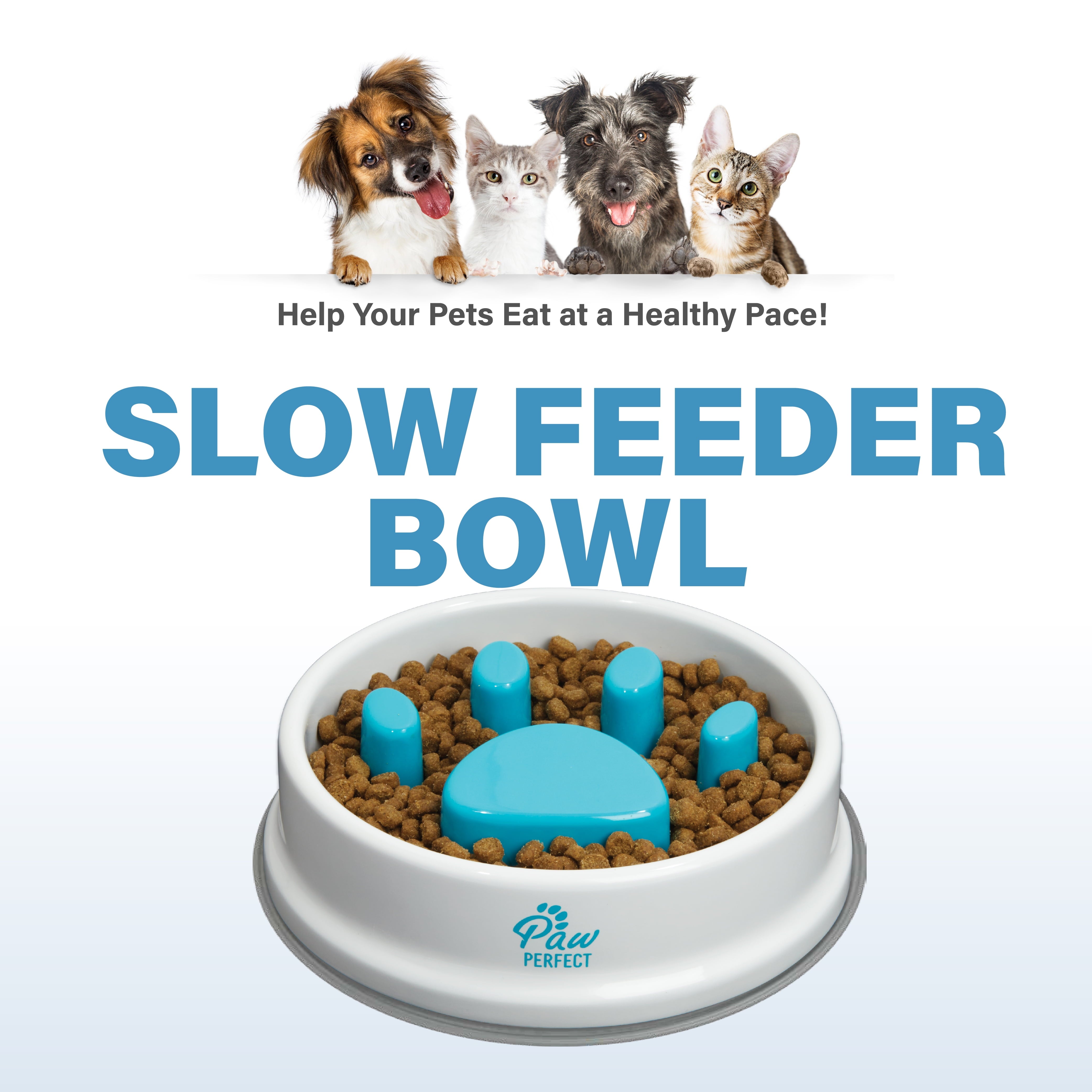Dog Slow Feeder Bowl