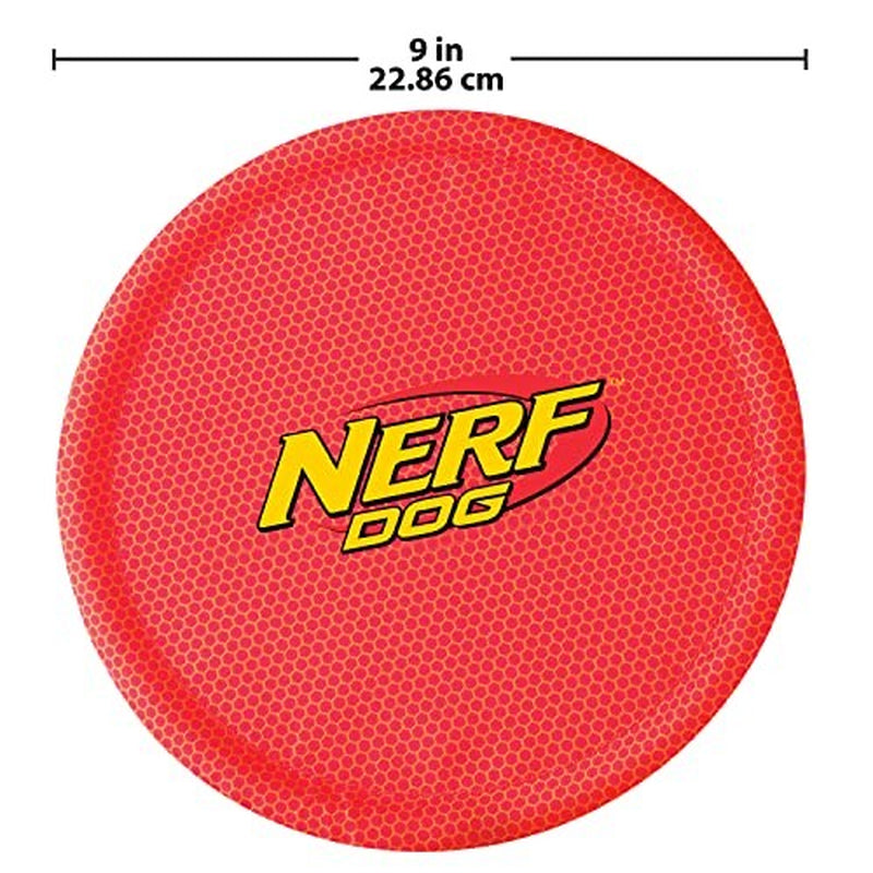 Nerf Frisbee Dog Toy