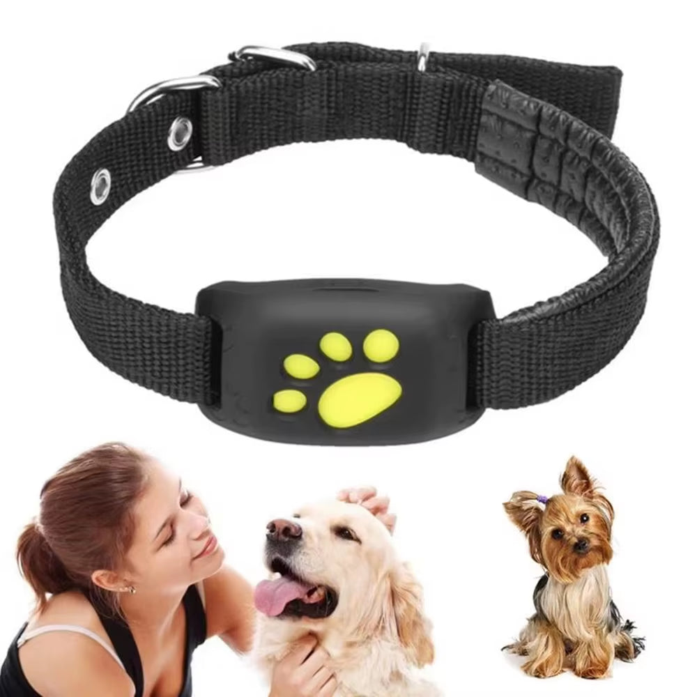 Pet GPS Tracking Device