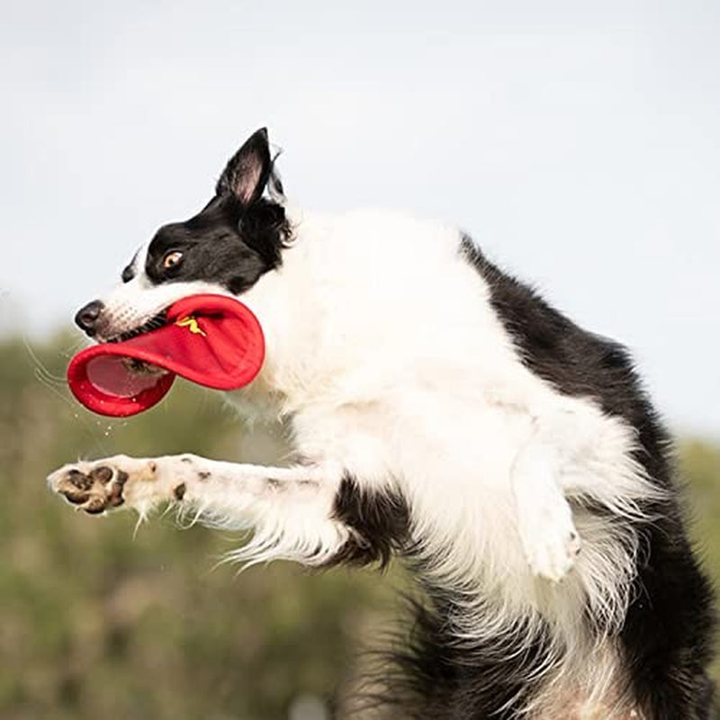 Nerf Frisbee Dog Toy