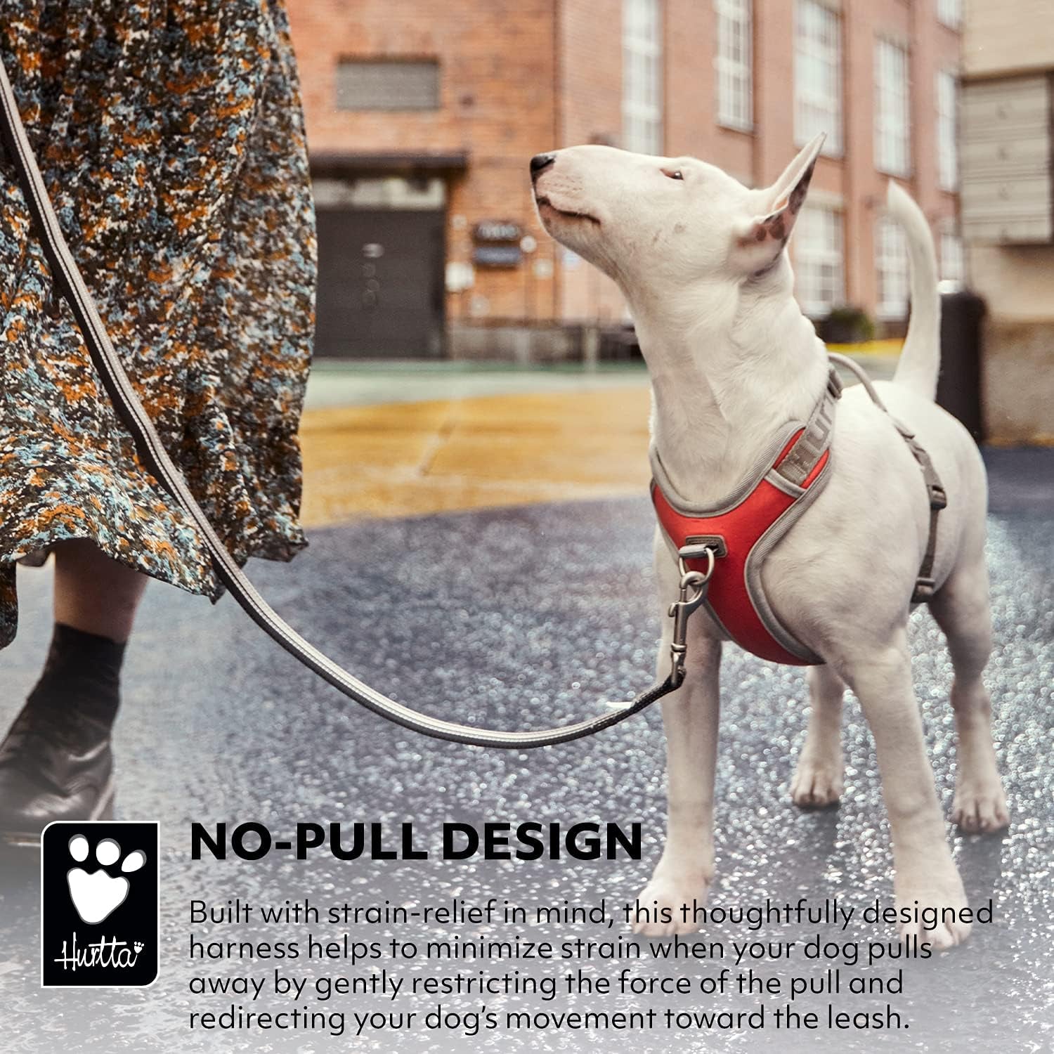 No-Pull Dog Harness