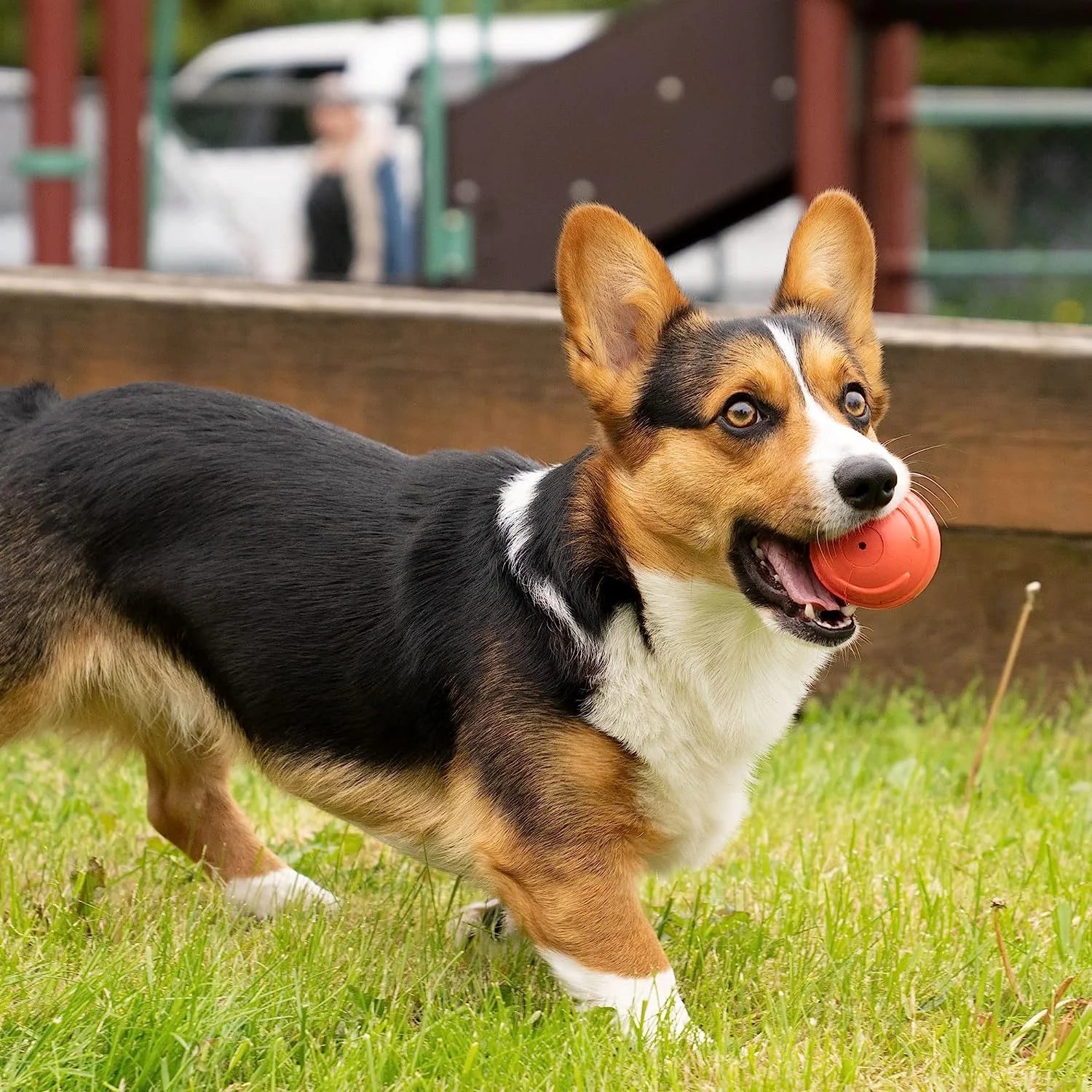 Fetch N' Fun Dog Ball Set