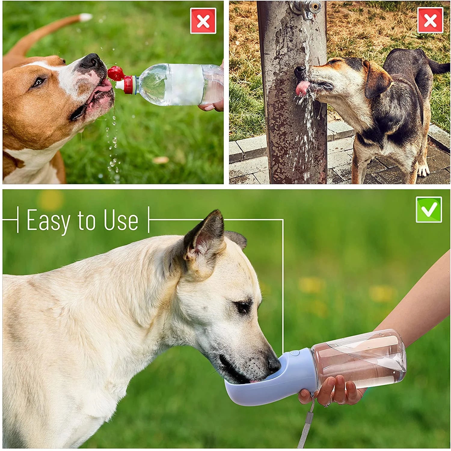 Portable Dog Water Bottle