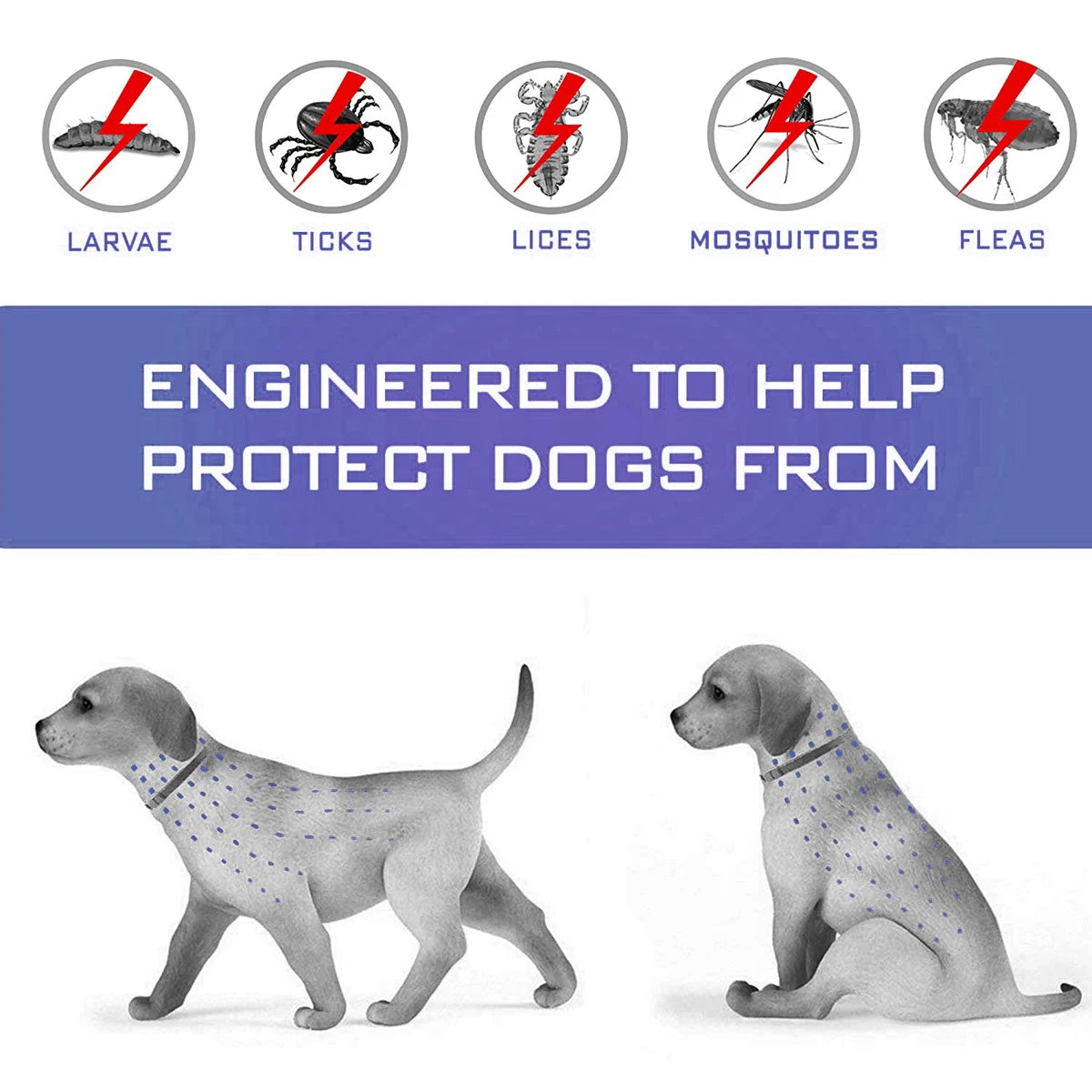Insect Repellent Pet Collar