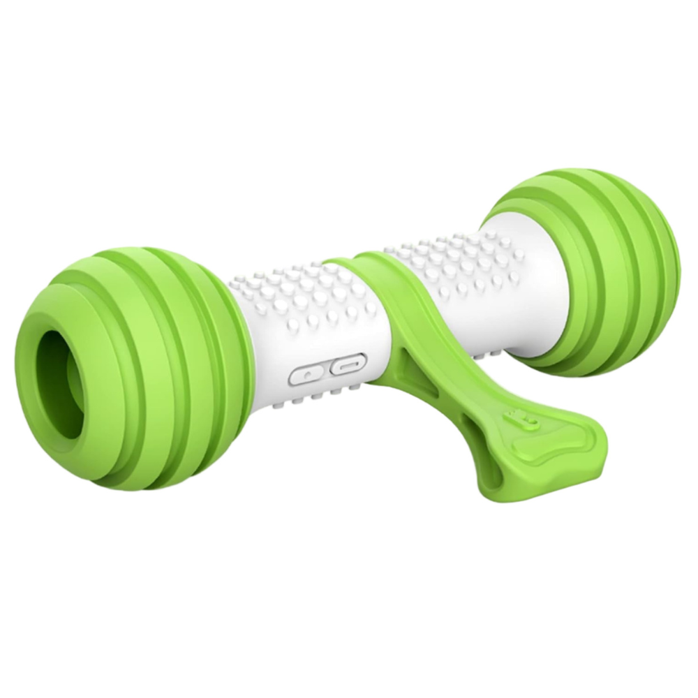 Smart Electronic Bone Toy