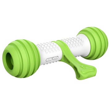 Smart Electronic Bone Toy