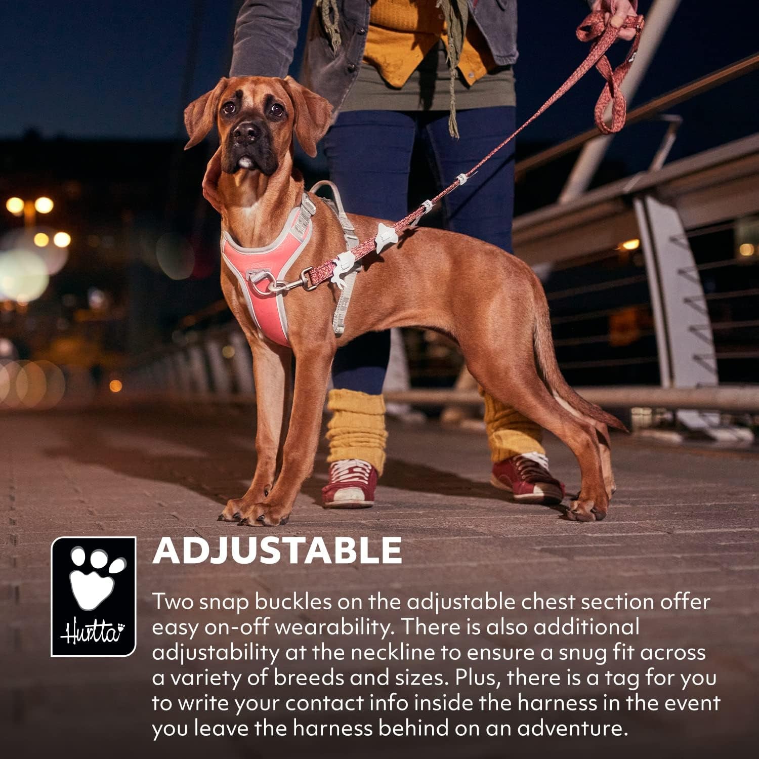 No-Pull Dog Harness