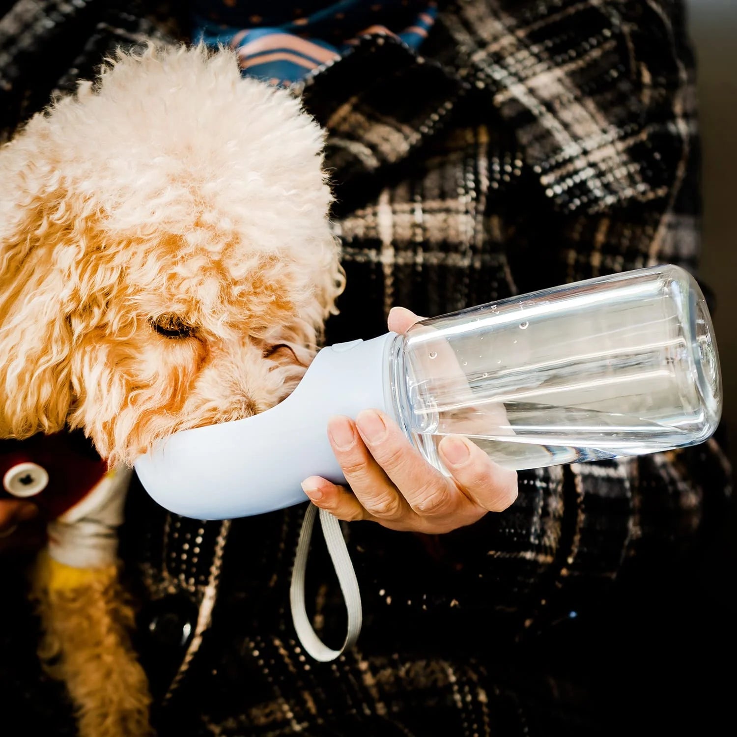 Portable Dog Water Bottle
