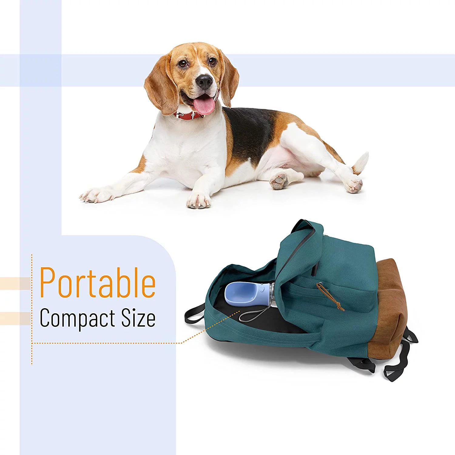 Portable Dog Water Bottle