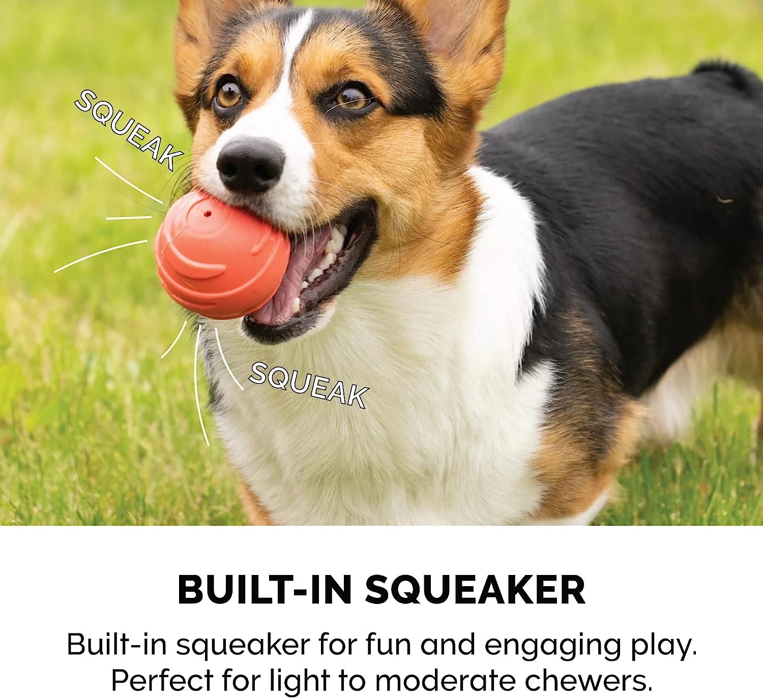 Fetch N' Fun Dog Ball Set