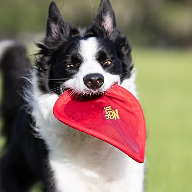 Nerf Frisbee Dog Toy