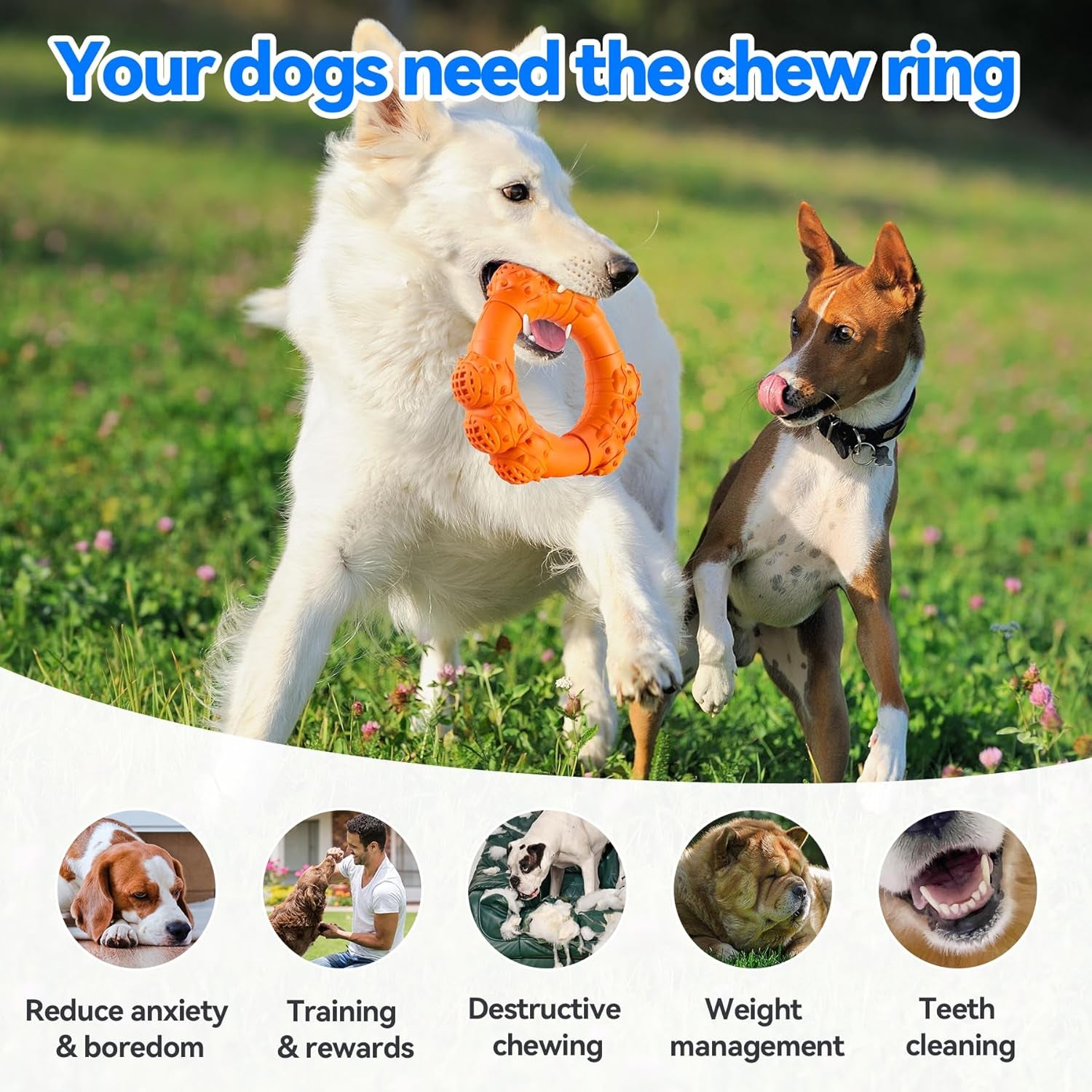 Indestructible Dog Chew Ring