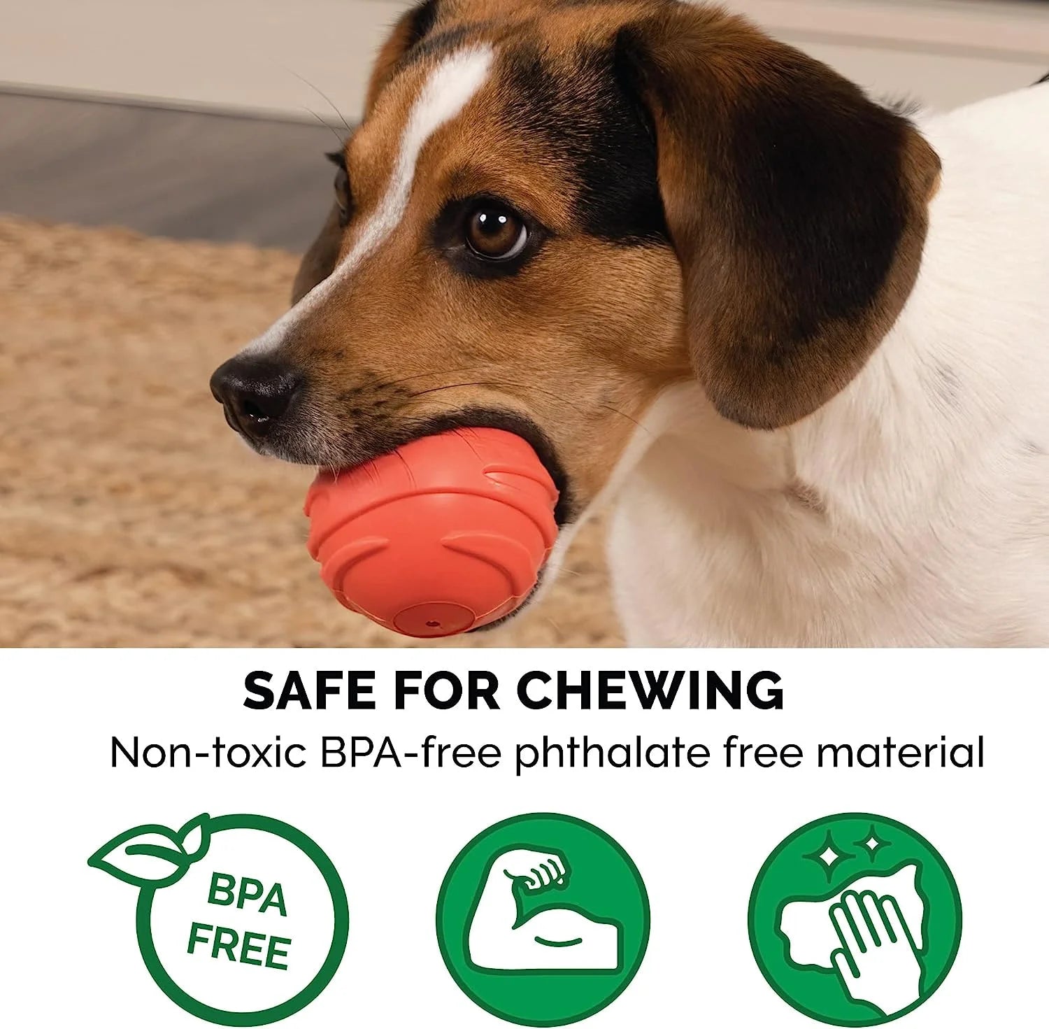 Fetch N' Fun Dog Ball Set