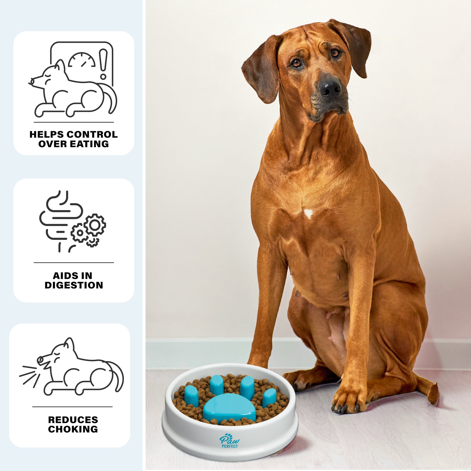 Dog Slow Feeder Bowl