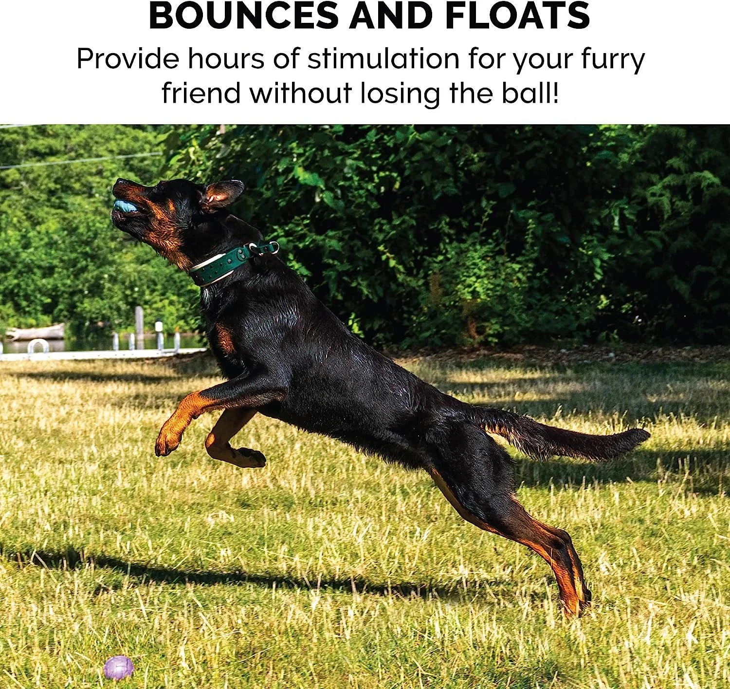 Fetch N' Fun Dog Ball Set
