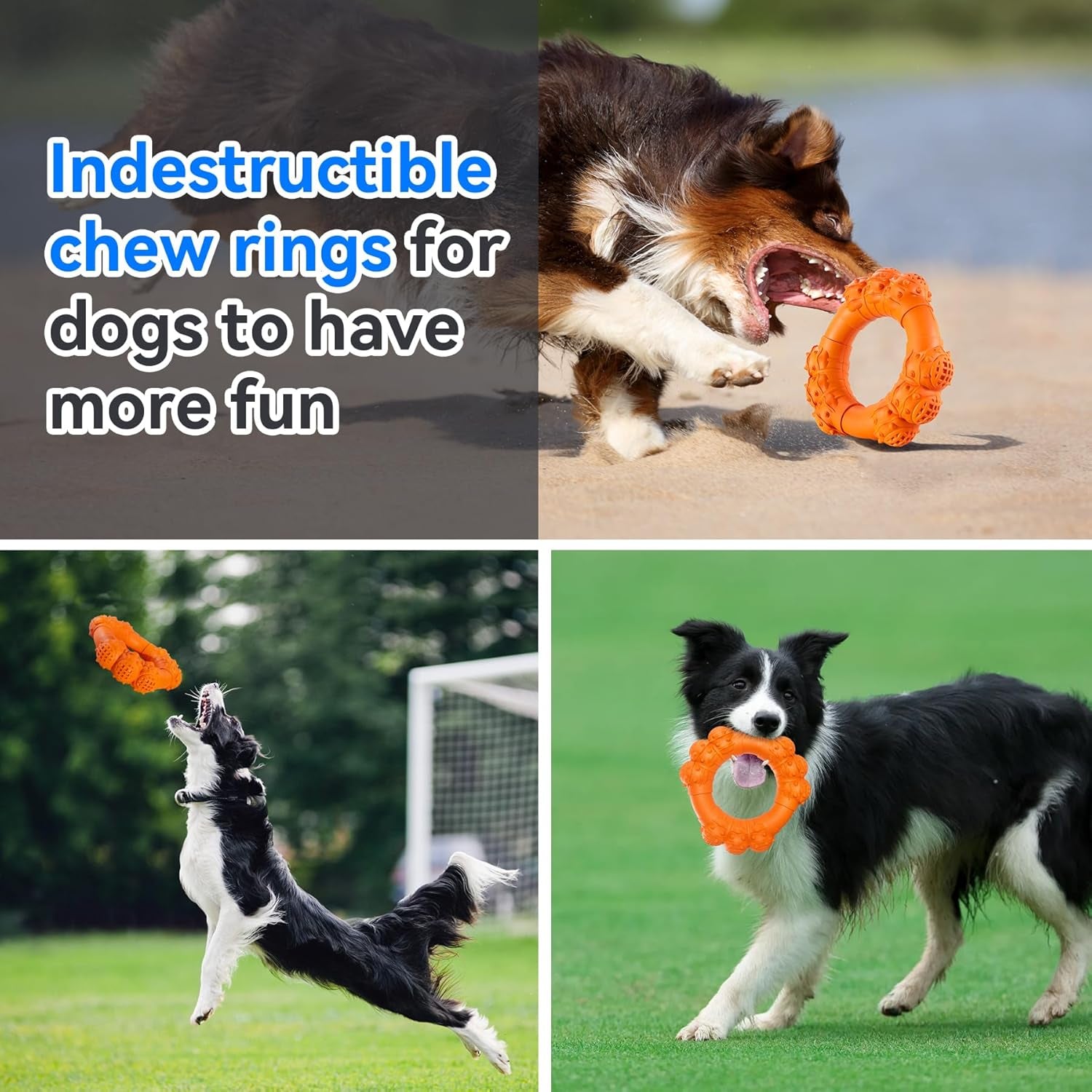 Indestructible Dog Chew Ring