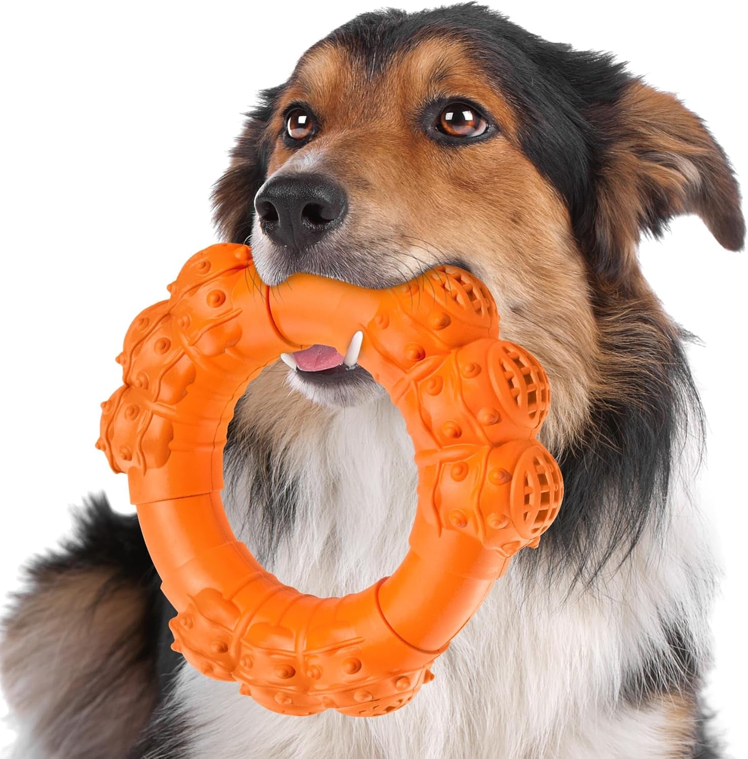 Indestructible Dog Chew Ring